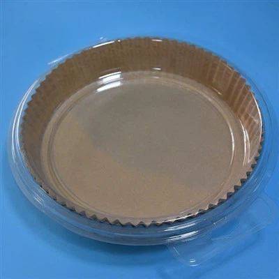 Oro gruzdintuvės popieriaus įdėklas 7,9 colio